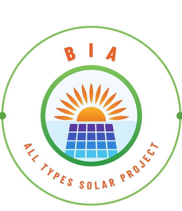 Bharat Infra Associate website identity